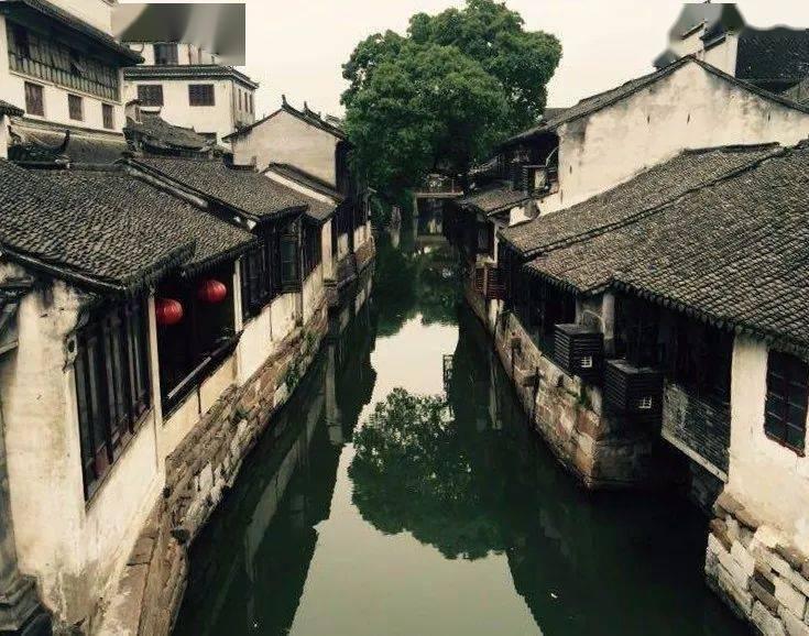 金刚鹦鹉逃生